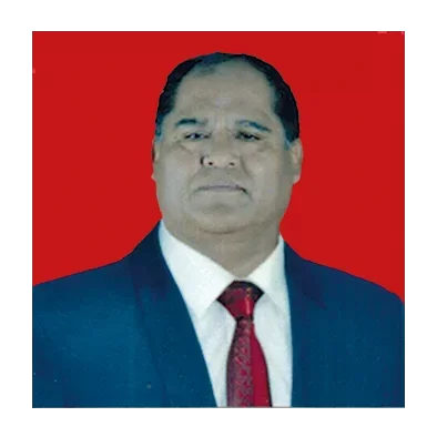 Sr. Ricardo Aramayo Rueda